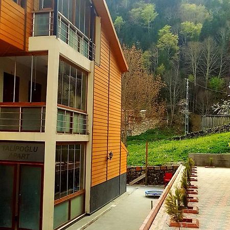 Talipoglu Apart Aparthotel Uzungol Bagian luar foto