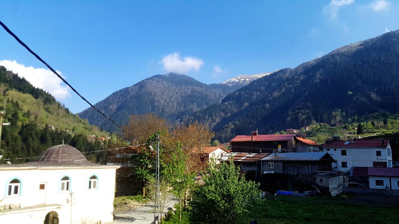 Talipoglu Apart Aparthotel Uzungol Bagian luar foto