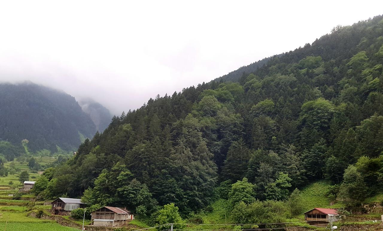 Talipoglu Apart Aparthotel Uzungol Bagian luar foto
