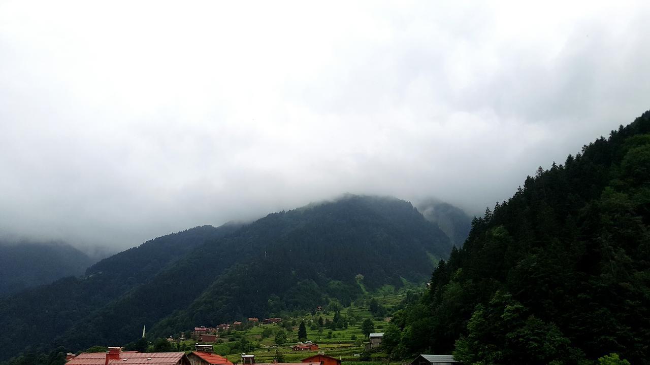 Talipoglu Apart Aparthotel Uzungol Bagian luar foto